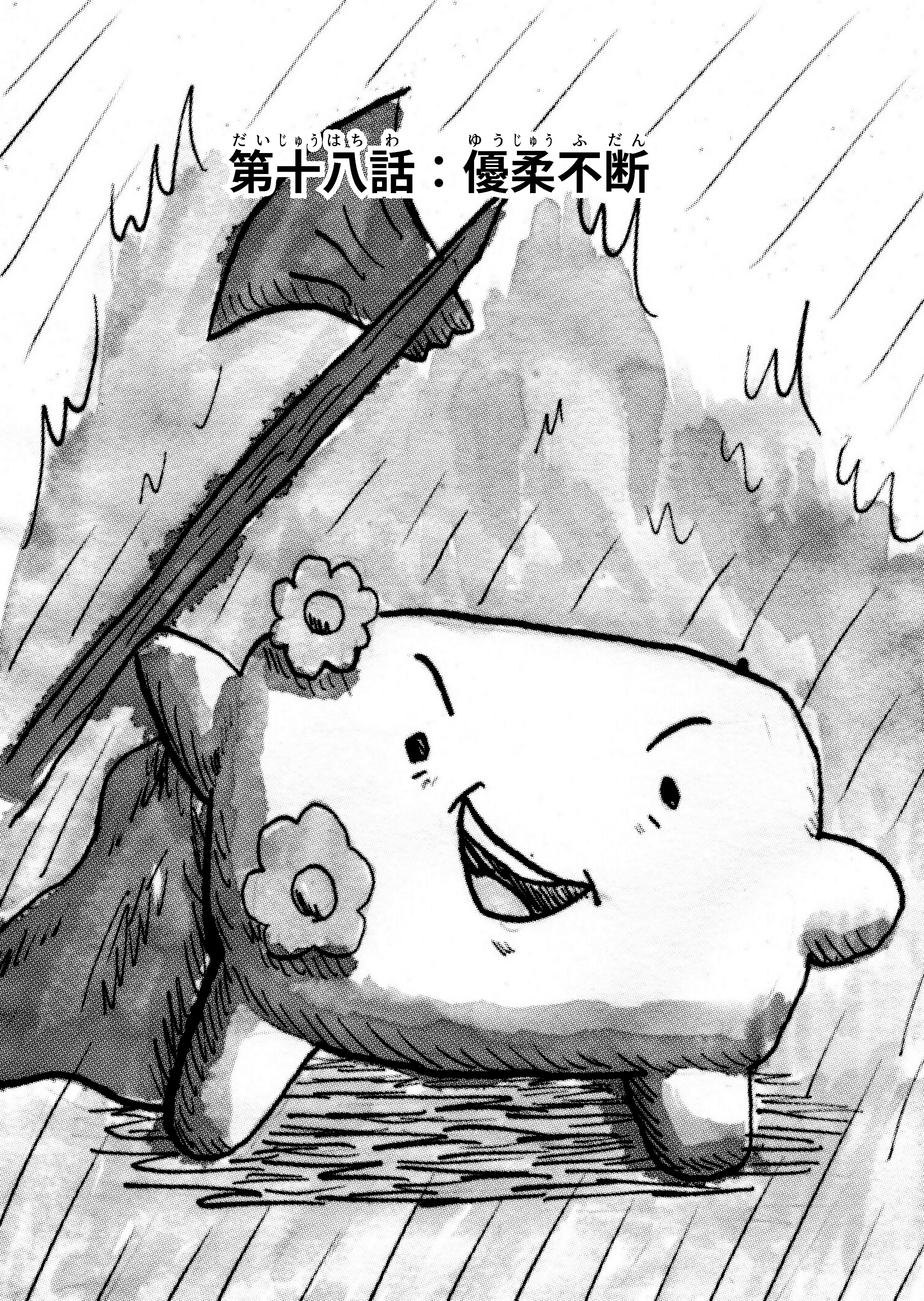chapter 18 cover